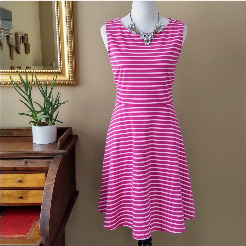 HP🎉 Talbots Edie Pink Striped Fit and Flare Dress
